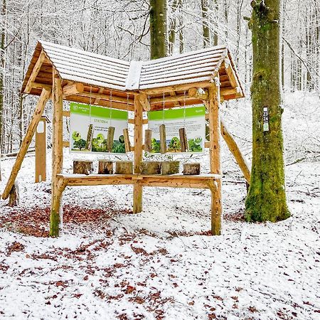 Alte Schule Winterberg Luxury Apartments Экстерьер фото